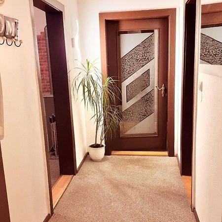 Ferienwohnung "Blick Mylau" - Naehe Freizeitpark Plohn & Weltgroesster Ziegelsteinbruecke ไรเคนบาค อิม โวกท์ลันด์ ภายนอก รูปภาพ