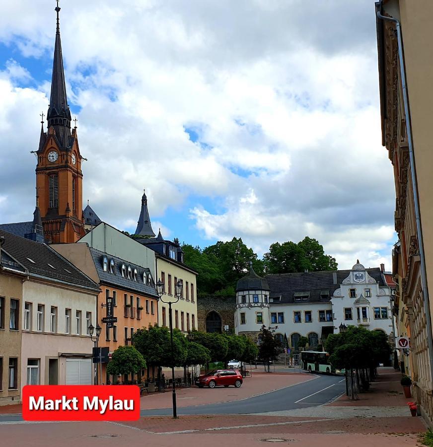 Ferienwohnung "Blick Mylau" - Naehe Freizeitpark Plohn & Weltgroesster Ziegelsteinbruecke ไรเคนบาค อิม โวกท์ลันด์ ภายนอก รูปภาพ
