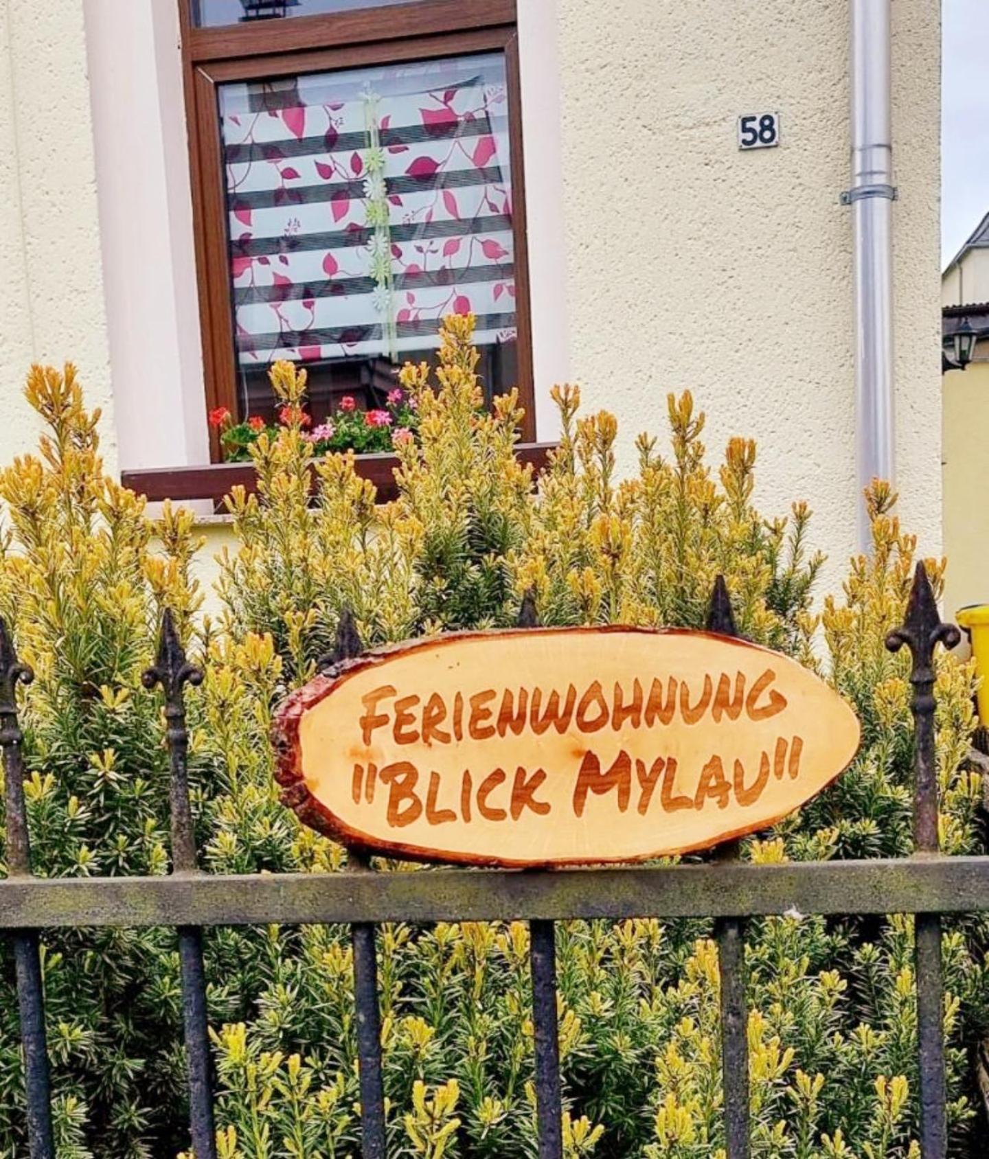 Ferienwohnung "Blick Mylau" - Naehe Freizeitpark Plohn & Weltgroesster Ziegelsteinbruecke ไรเคนบาค อิม โวกท์ลันด์ ภายนอก รูปภาพ