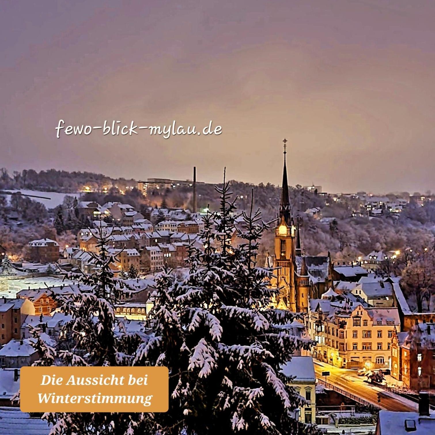 Ferienwohnung "Blick Mylau" - Naehe Freizeitpark Plohn & Weltgroesster Ziegelsteinbruecke ไรเคนบาค อิม โวกท์ลันด์ ภายนอก รูปภาพ